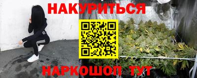 дживик Моздок