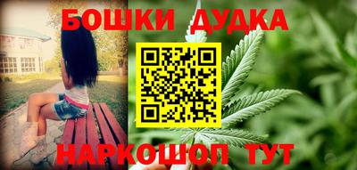 дживик Моздок