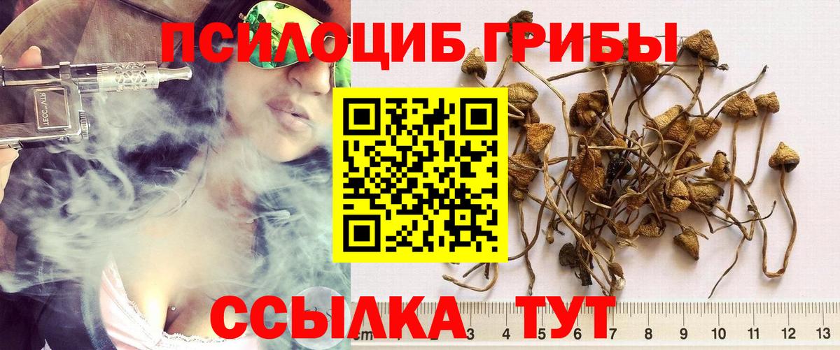 Ярцево  Галлюциногенные грибы прущие грибы  Вход с VPN  магазин  наркотиков  Псилоцибиновые грибы ЛСД 